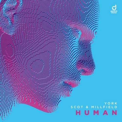 York, Scot & Millfield - Human [YLD398]